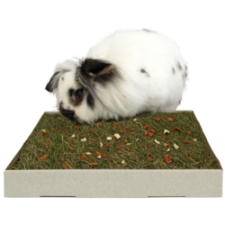 JR Farm Urteeng med Grøntsager