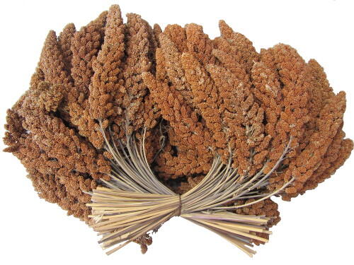 Hirsekolber franske røde 400g