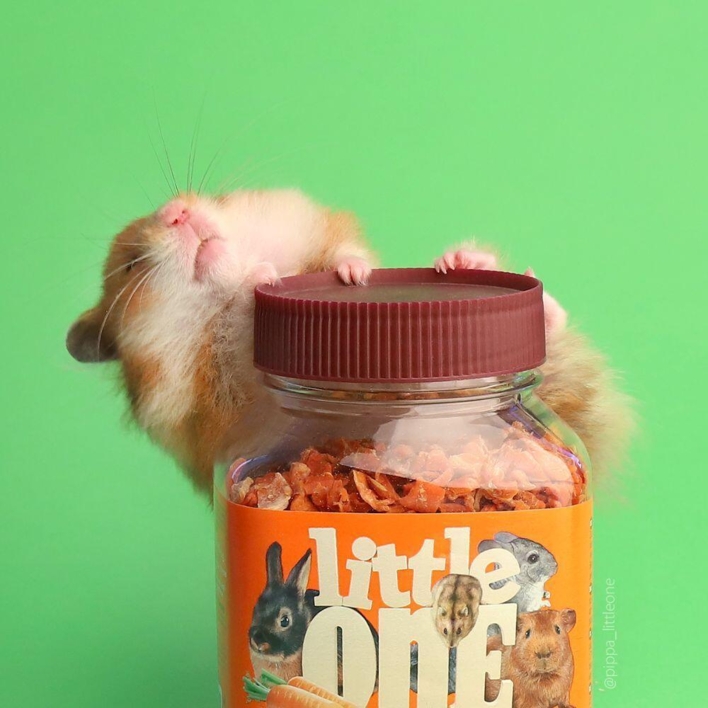 Little One Tørret gulerod 200 g