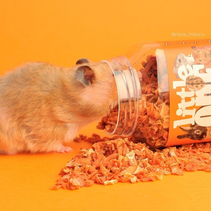 Little One Tørret gulerod 200 g