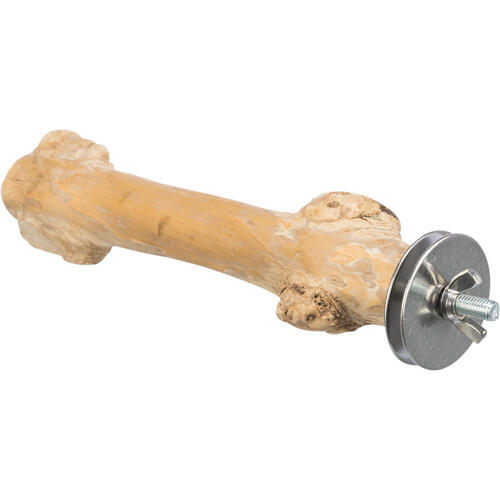 Siddepind i kaffetræ