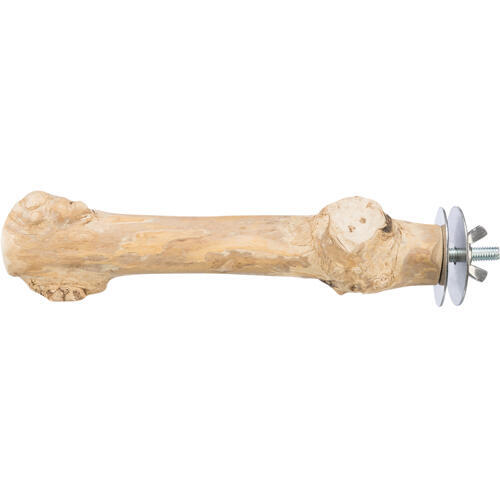 Siddepind i kaffetræ