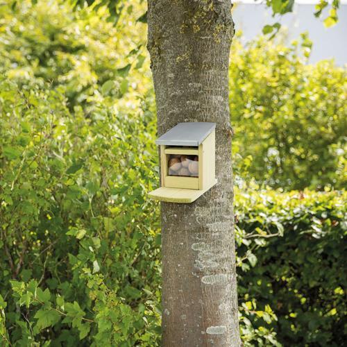 Foder station til egern