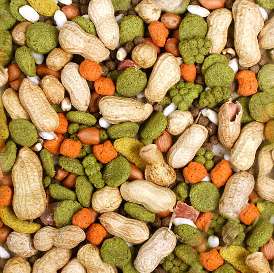 JR Farm Hamster Snack 100g