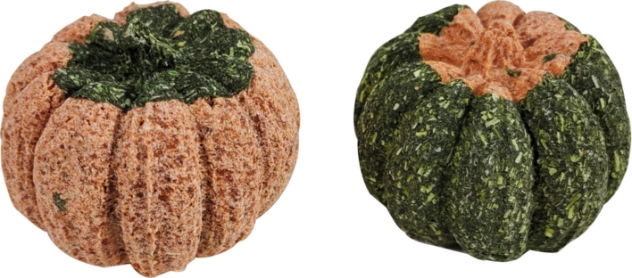 Companion græskar tyggelegetøj til gnaver