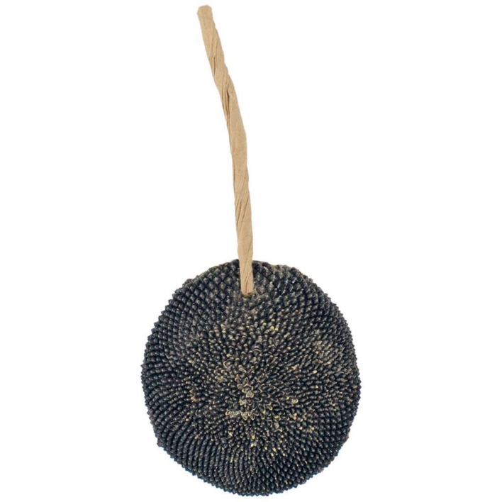 JR FARM Solsikker 30g