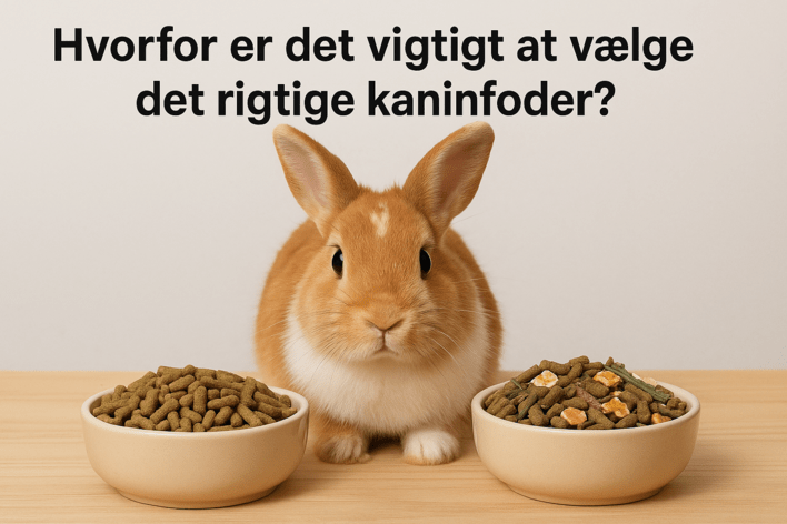 Derfor er det vigtigt at vælge den rigtige mad til din kanin