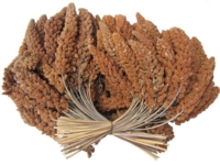 Hirsekolber franske røde 400g