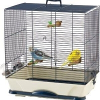 SAVIC PRIMO 40 FUGLEBUR