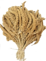 Hirsekolber franske gule ca. 400g